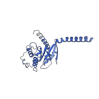 42419_8unw_A_v1-2
CryoEM structure of beta-2-adrenergic receptor in complex with GTP-bound Gs heterotrimer (Class L)