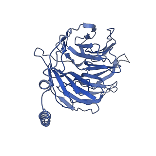 42419_8unw_B_v1-2
CryoEM structure of beta-2-adrenergic receptor in complex with GTP-bound Gs heterotrimer (Class L)