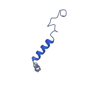 42419_8unw_G_v1-2
CryoEM structure of beta-2-adrenergic receptor in complex with GTP-bound Gs heterotrimer (Class L)