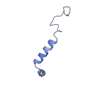 42420_8unx_G_v1-2
CryoEM structure of beta-2-adrenergic receptor in complex with GTP-bound Gs heterotrimer (Class M)