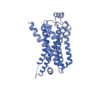 42420_8unx_R_v1-2
CryoEM structure of beta-2-adrenergic receptor in complex with GTP-bound Gs heterotrimer (Class M)