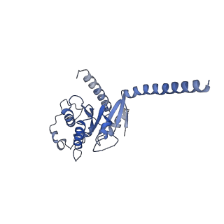 42421_8uny_A_v1-2
CryoEM structure of beta-2-adrenergic receptor in complex with GTP-bound Gs heterotrimer (Class N)