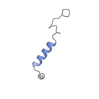 42421_8uny_G_v1-2
CryoEM structure of beta-2-adrenergic receptor in complex with GTP-bound Gs heterotrimer (Class N)