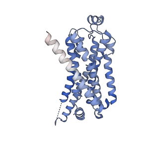 42421_8uny_R_v1-2
CryoEM structure of beta-2-adrenergic receptor in complex with GTP-bound Gs heterotrimer (Class N)