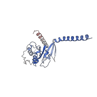 42422_8unz_A_v1-2
CryoEM structure of beta-2-adrenergic receptor in complex with GTP-bound Gs heterotrimer (Class O)