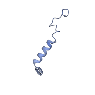 42422_8unz_G_v1-2
CryoEM structure of beta-2-adrenergic receptor in complex with GTP-bound Gs heterotrimer (Class O)