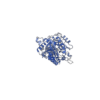 20822_6uo8_B_v1-1
Human metabotropic GABA(B) receptor bound to agonist SKF97541 and positive allosteric modulator GS39783