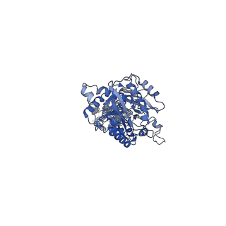 20822_6uo8_B_v2-1
Human metabotropic GABA(B) receptor bound to agonist SKF97541 and positive allosteric modulator GS39783