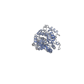 20823_6uo9_A_v1-1
Human metabotropic GABA(B) receptor bound to agonist SKF97541 in its intermediate state 2