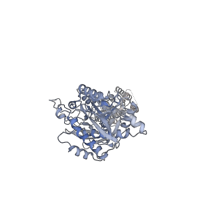 20823_6uo9_B_v1-1
Human metabotropic GABA(B) receptor bound to agonist SKF97541 in its intermediate state 2