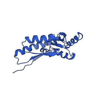 20832_6uot_A_v1-0
Cryo-EM structure of the PrgHK periplasmic ring from the Salmonella SPI-1 type III secretion needle complex solved at 3.3 angstrom resolution