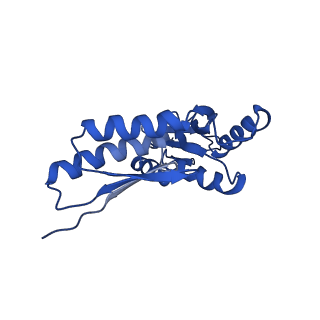 20832_6uot_A_v1-1
Cryo-EM structure of the PrgHK periplasmic ring from the Salmonella SPI-1 type III secretion needle complex solved at 3.3 angstrom resolution