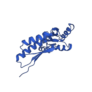 20832_6uot_B_v1-0
Cryo-EM structure of the PrgHK periplasmic ring from the Salmonella SPI-1 type III secretion needle complex solved at 3.3 angstrom resolution