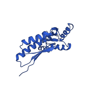 20832_6uot_B_v1-1
Cryo-EM structure of the PrgHK periplasmic ring from the Salmonella SPI-1 type III secretion needle complex solved at 3.3 angstrom resolution