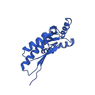 20832_6uot_C_v1-0
Cryo-EM structure of the PrgHK periplasmic ring from the Salmonella SPI-1 type III secretion needle complex solved at 3.3 angstrom resolution
