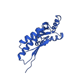 20832_6uot_C_v1-1
Cryo-EM structure of the PrgHK periplasmic ring from the Salmonella SPI-1 type III secretion needle complex solved at 3.3 angstrom resolution