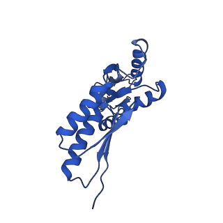 20832_6uot_D_v1-0
Cryo-EM structure of the PrgHK periplasmic ring from the Salmonella SPI-1 type III secretion needle complex solved at 3.3 angstrom resolution