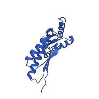 20832_6uot_D_v1-1
Cryo-EM structure of the PrgHK periplasmic ring from the Salmonella SPI-1 type III secretion needle complex solved at 3.3 angstrom resolution