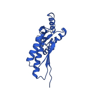 20832_6uot_E_v1-1
Cryo-EM structure of the PrgHK periplasmic ring from the Salmonella SPI-1 type III secretion needle complex solved at 3.3 angstrom resolution