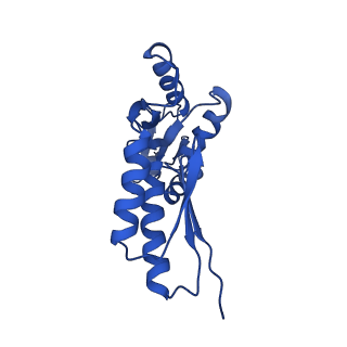 20832_6uot_F_v1-0
Cryo-EM structure of the PrgHK periplasmic ring from the Salmonella SPI-1 type III secretion needle complex solved at 3.3 angstrom resolution