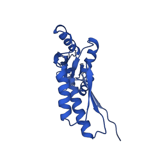 20832_6uot_G_v1-0
Cryo-EM structure of the PrgHK periplasmic ring from the Salmonella SPI-1 type III secretion needle complex solved at 3.3 angstrom resolution