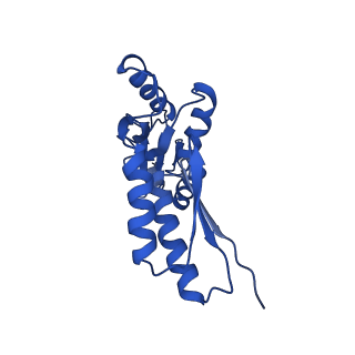 20832_6uot_G_v1-1
Cryo-EM structure of the PrgHK periplasmic ring from the Salmonella SPI-1 type III secretion needle complex solved at 3.3 angstrom resolution