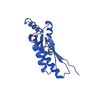 20832_6uot_H_v1-0
Cryo-EM structure of the PrgHK periplasmic ring from the Salmonella SPI-1 type III secretion needle complex solved at 3.3 angstrom resolution