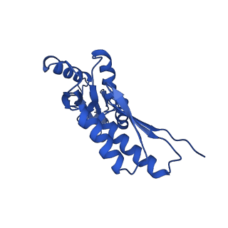 20832_6uot_I_v1-0
Cryo-EM structure of the PrgHK periplasmic ring from the Salmonella SPI-1 type III secretion needle complex solved at 3.3 angstrom resolution