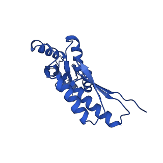 20832_6uot_I_v1-1
Cryo-EM structure of the PrgHK periplasmic ring from the Salmonella SPI-1 type III secretion needle complex solved at 3.3 angstrom resolution