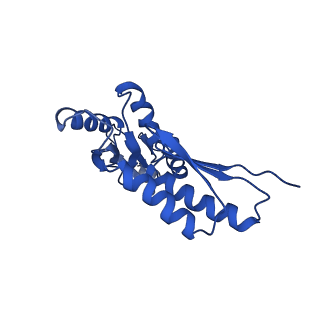 20832_6uot_J_v1-0
Cryo-EM structure of the PrgHK periplasmic ring from the Salmonella SPI-1 type III secretion needle complex solved at 3.3 angstrom resolution