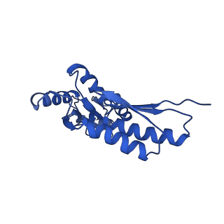 20832_6uot_K_v1-0
Cryo-EM structure of the PrgHK periplasmic ring from the Salmonella SPI-1 type III secretion needle complex solved at 3.3 angstrom resolution
