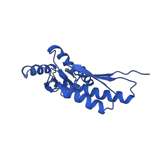 20832_6uot_K_v1-1
Cryo-EM structure of the PrgHK periplasmic ring from the Salmonella SPI-1 type III secretion needle complex solved at 3.3 angstrom resolution