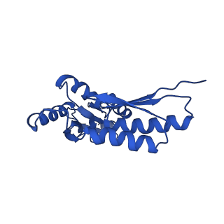 20832_6uot_L_v1-1
Cryo-EM structure of the PrgHK periplasmic ring from the Salmonella SPI-1 type III secretion needle complex solved at 3.3 angstrom resolution