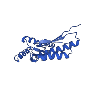 20832_6uot_M_v1-0
Cryo-EM structure of the PrgHK periplasmic ring from the Salmonella SPI-1 type III secretion needle complex solved at 3.3 angstrom resolution