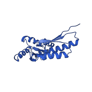 20832_6uot_M_v1-1
Cryo-EM structure of the PrgHK periplasmic ring from the Salmonella SPI-1 type III secretion needle complex solved at 3.3 angstrom resolution