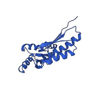 20832_6uot_N_v1-0
Cryo-EM structure of the PrgHK periplasmic ring from the Salmonella SPI-1 type III secretion needle complex solved at 3.3 angstrom resolution