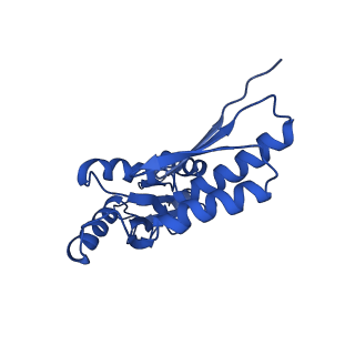 20832_6uot_N_v1-1
Cryo-EM structure of the PrgHK periplasmic ring from the Salmonella SPI-1 type III secretion needle complex solved at 3.3 angstrom resolution