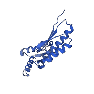20832_6uot_O_v1-0
Cryo-EM structure of the PrgHK periplasmic ring from the Salmonella SPI-1 type III secretion needle complex solved at 3.3 angstrom resolution