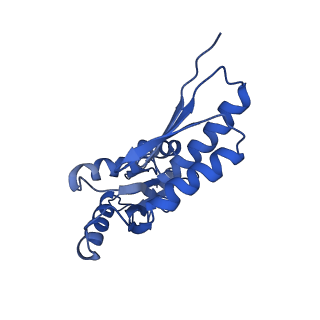 20832_6uot_O_v1-1
Cryo-EM structure of the PrgHK periplasmic ring from the Salmonella SPI-1 type III secretion needle complex solved at 3.3 angstrom resolution