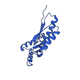 20832_6uot_P_v1-0
Cryo-EM structure of the PrgHK periplasmic ring from the Salmonella SPI-1 type III secretion needle complex solved at 3.3 angstrom resolution