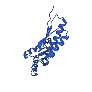 20832_6uot_P_v1-1
Cryo-EM structure of the PrgHK periplasmic ring from the Salmonella SPI-1 type III secretion needle complex solved at 3.3 angstrom resolution