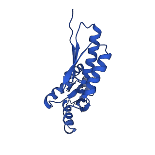 20832_6uot_Q_v1-0
Cryo-EM structure of the PrgHK periplasmic ring from the Salmonella SPI-1 type III secretion needle complex solved at 3.3 angstrom resolution