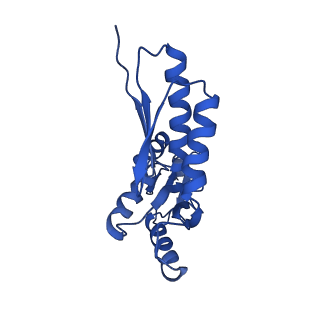 20832_6uot_R_v1-0
Cryo-EM structure of the PrgHK periplasmic ring from the Salmonella SPI-1 type III secretion needle complex solved at 3.3 angstrom resolution