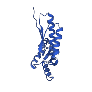 20832_6uot_R_v1-1
Cryo-EM structure of the PrgHK periplasmic ring from the Salmonella SPI-1 type III secretion needle complex solved at 3.3 angstrom resolution