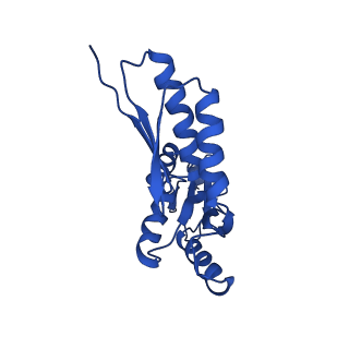 20832_6uot_S_v1-0
Cryo-EM structure of the PrgHK periplasmic ring from the Salmonella SPI-1 type III secretion needle complex solved at 3.3 angstrom resolution