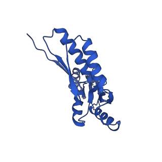 20832_6uot_T_v1-0
Cryo-EM structure of the PrgHK periplasmic ring from the Salmonella SPI-1 type III secretion needle complex solved at 3.3 angstrom resolution
