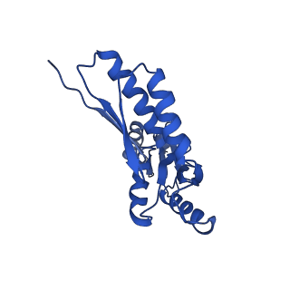 20832_6uot_T_v1-1
Cryo-EM structure of the PrgHK periplasmic ring from the Salmonella SPI-1 type III secretion needle complex solved at 3.3 angstrom resolution