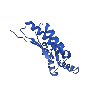 20832_6uot_U_v1-0
Cryo-EM structure of the PrgHK periplasmic ring from the Salmonella SPI-1 type III secretion needle complex solved at 3.3 angstrom resolution