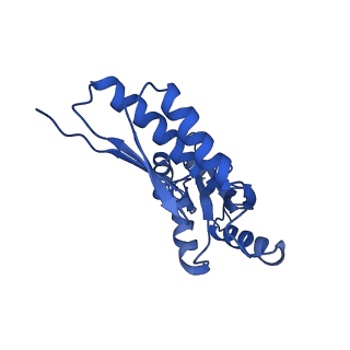 20832_6uot_U_v1-1
Cryo-EM structure of the PrgHK periplasmic ring from the Salmonella SPI-1 type III secretion needle complex solved at 3.3 angstrom resolution