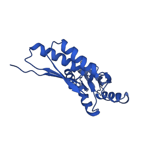 20832_6uot_V_v1-1
Cryo-EM structure of the PrgHK periplasmic ring from the Salmonella SPI-1 type III secretion needle complex solved at 3.3 angstrom resolution